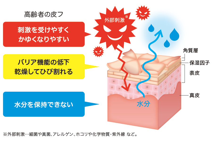 高齢者の皮膚の状態