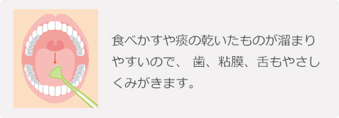 食べかすや痰の乾いたものが溜まりやすいので、歯、粘膜、舌もやさしくみがきます。