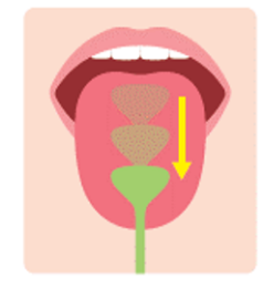 舌の汚れの使い方イラスト